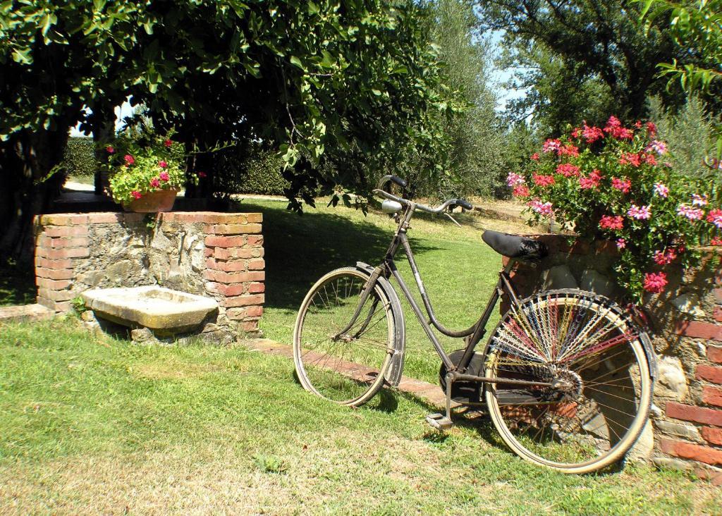Agriturismo Il Sole Verde ブーチネ エクステリア 写真